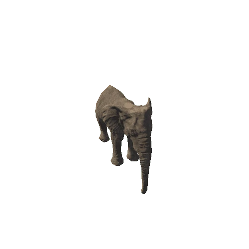 elephant_female_fv_rm_LP (mat2)
